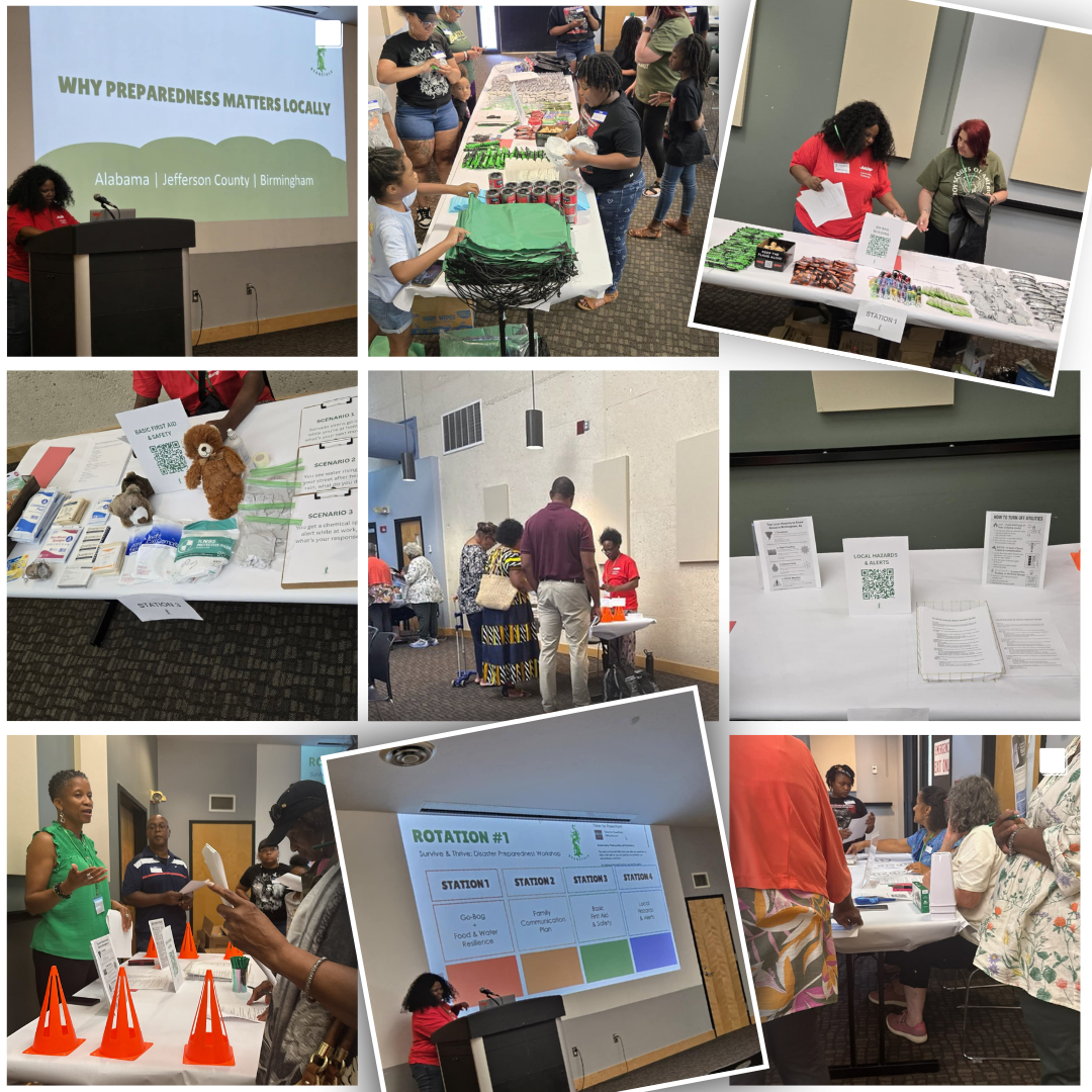 Disaster Prep Collage